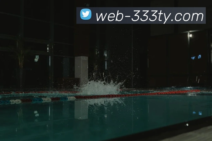 333体育：全球职业竞技赛事资讯与实时数据交互门户品牌故事